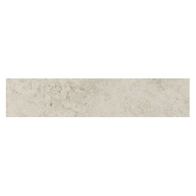 Shaw Floors CS98Q-00100