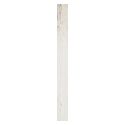 Shaw Floors CS65Q-00100