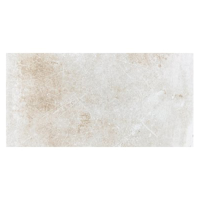Shaw Floors CS68Z-00110