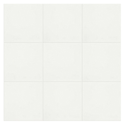 Shaw Floors CS05V-00100