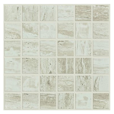 Shaw Floors CS10X-00500