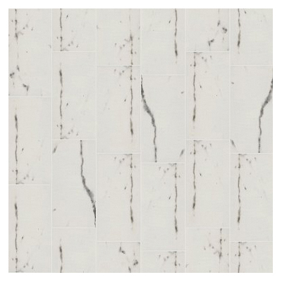 Shaw Floors 251TS-00100