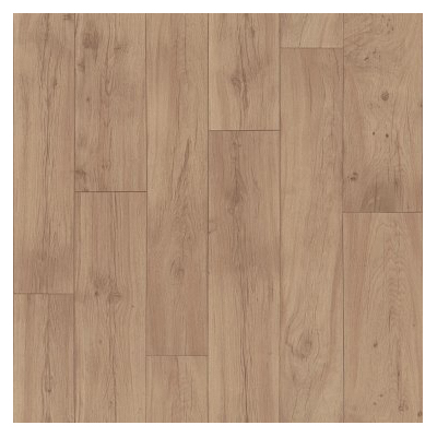 Shaw Floors 0610V-00113
