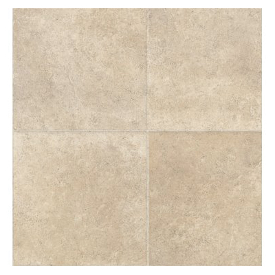 Shaw Floors 0529V-00109