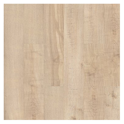 Shaw Floors 2038V-01066