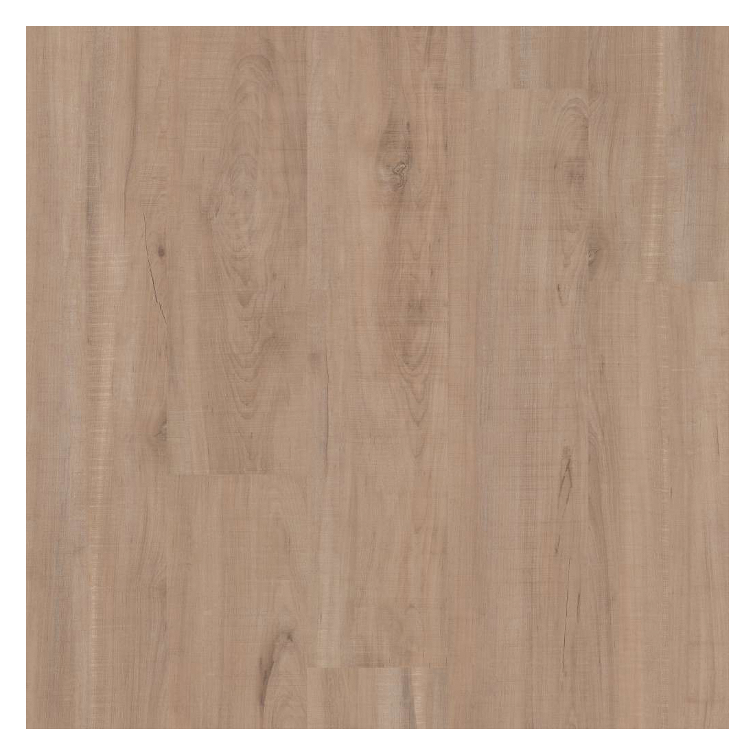 Shaw Floors 2357V-00295