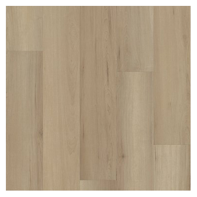 Shaw Floors VV585-05043