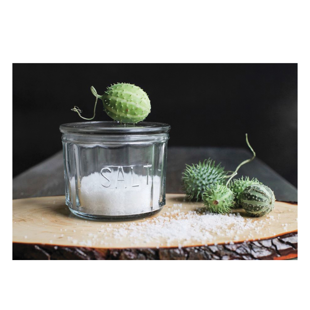 Creative Co-Op Rastic Country Series DA3024 Salt Cellar, Glass, Clear - 2