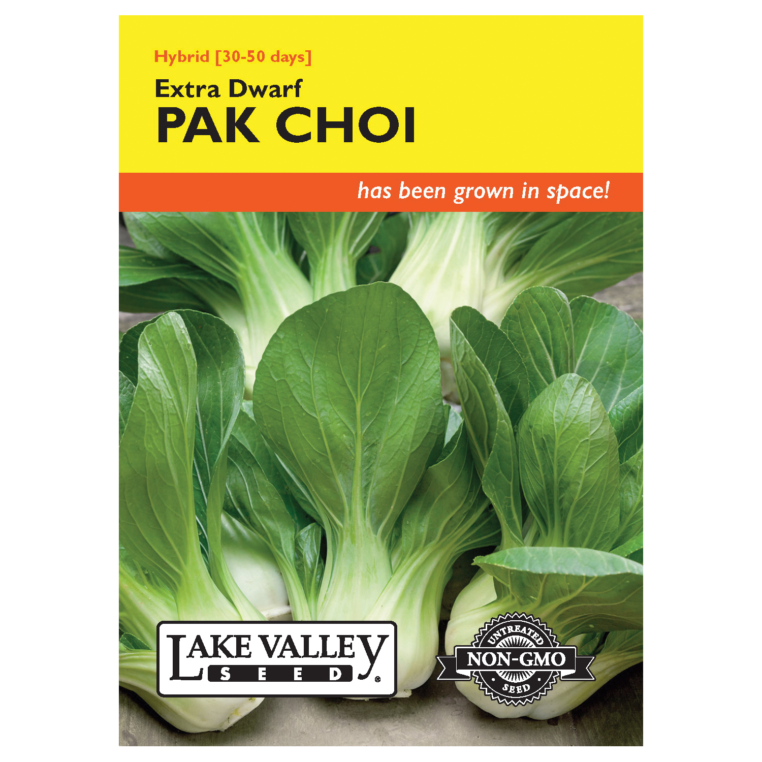 Lake Valley Seed 4719