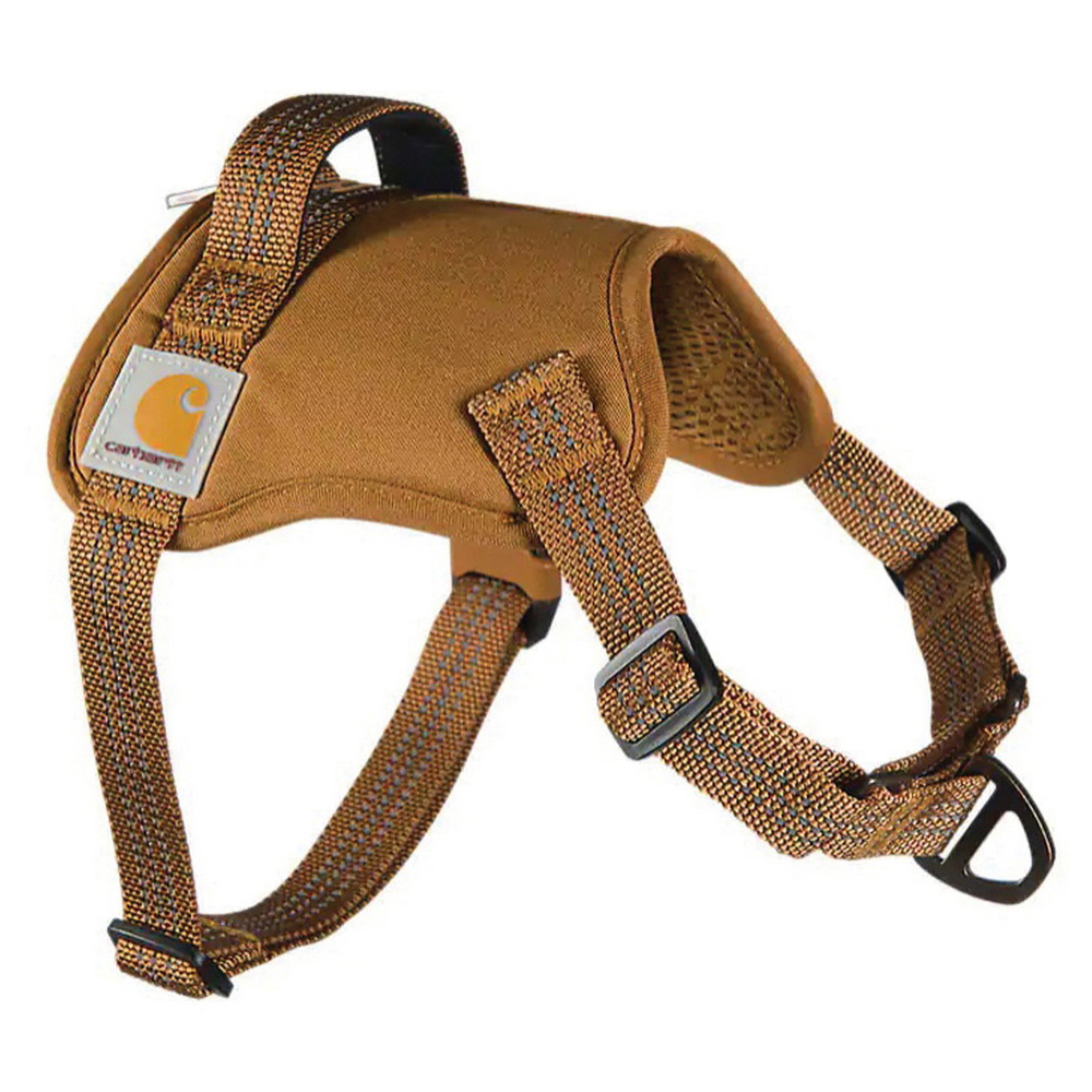 Carhartt P0000486-201-L