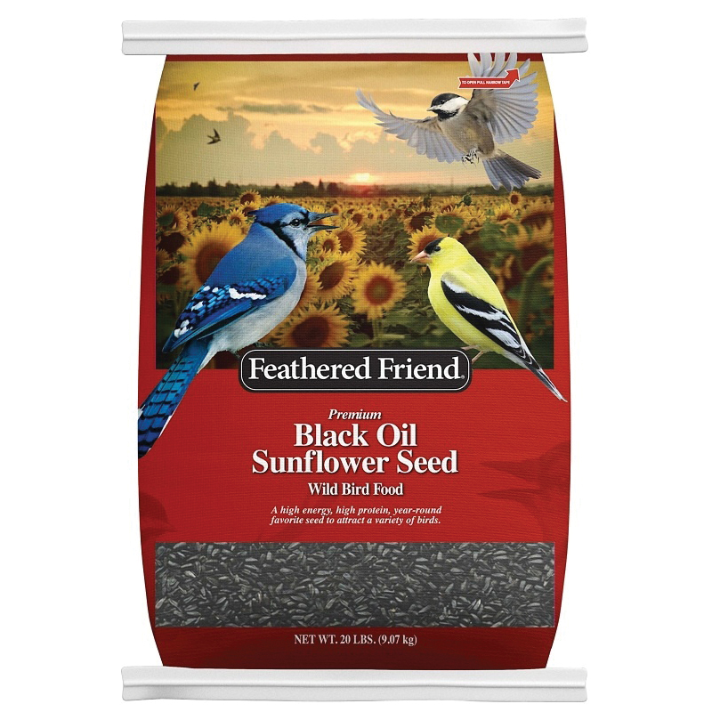14421 Black Oil Sunflower Seed, 20 lb