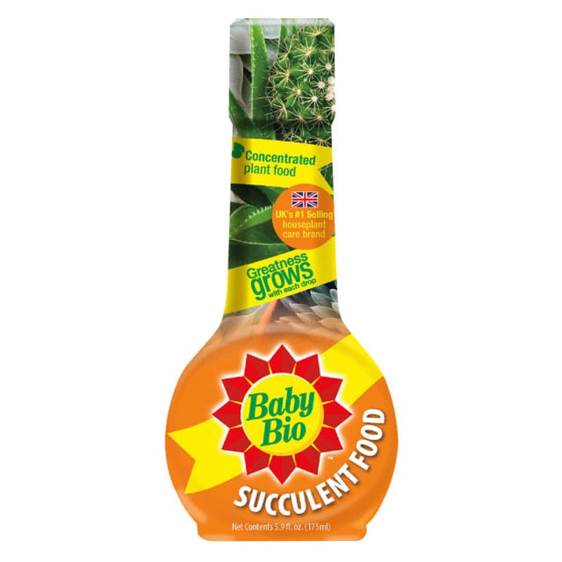 Baby Bio 800520A Concentrate Houseplant Succulent Food, 5.9 fl-oz