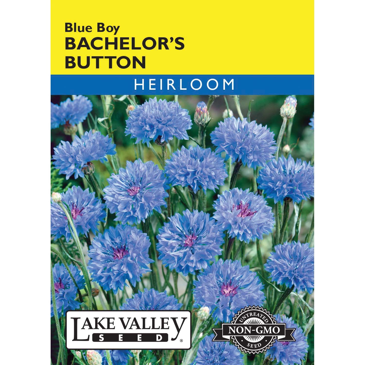 Lake Valley Seed 26