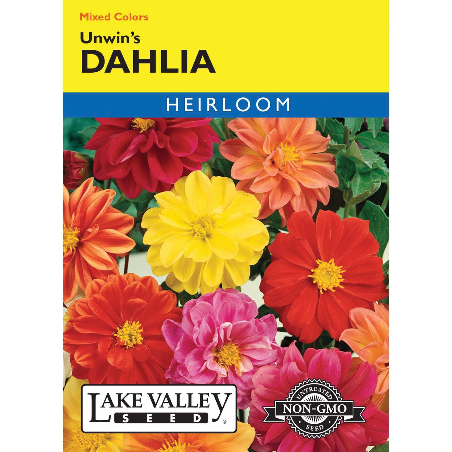 Lake Valley Seed 123