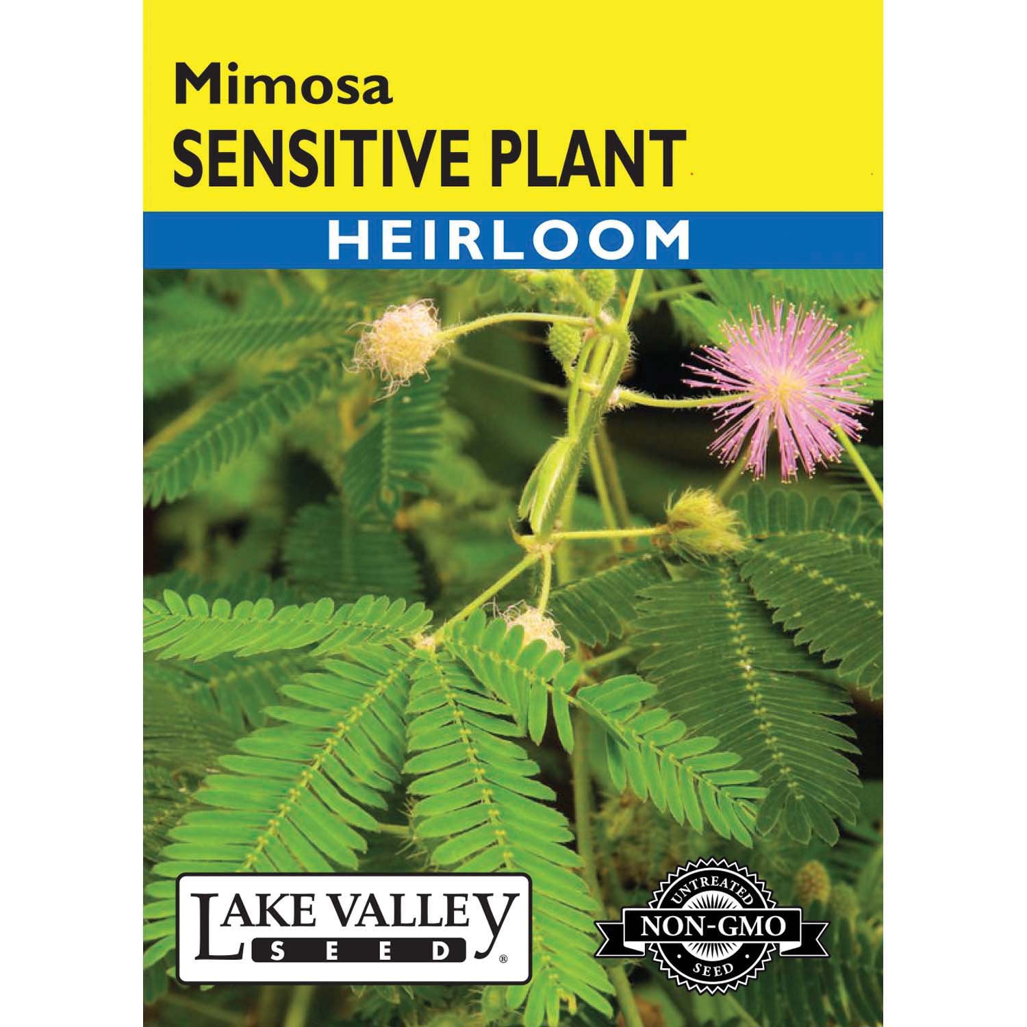 Lake Valley Seed 390