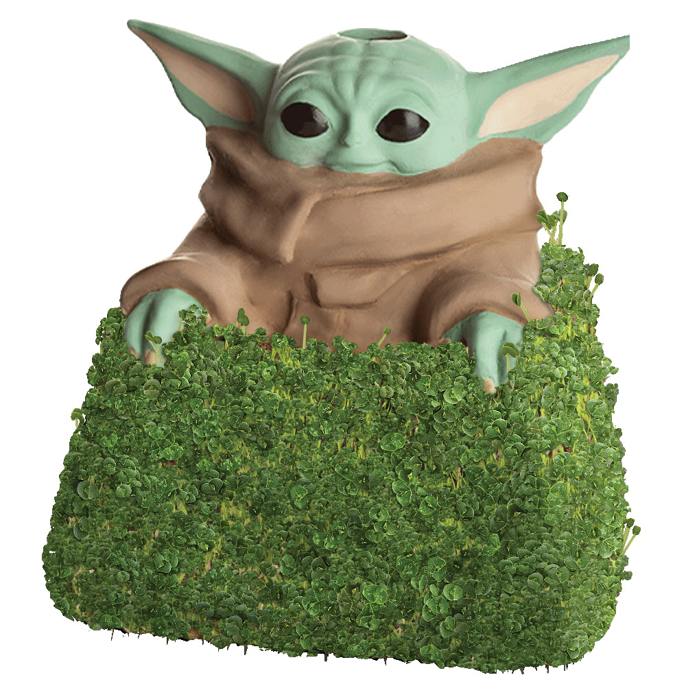 Chia Pet Planter - Star Wars The Child Cat Grass