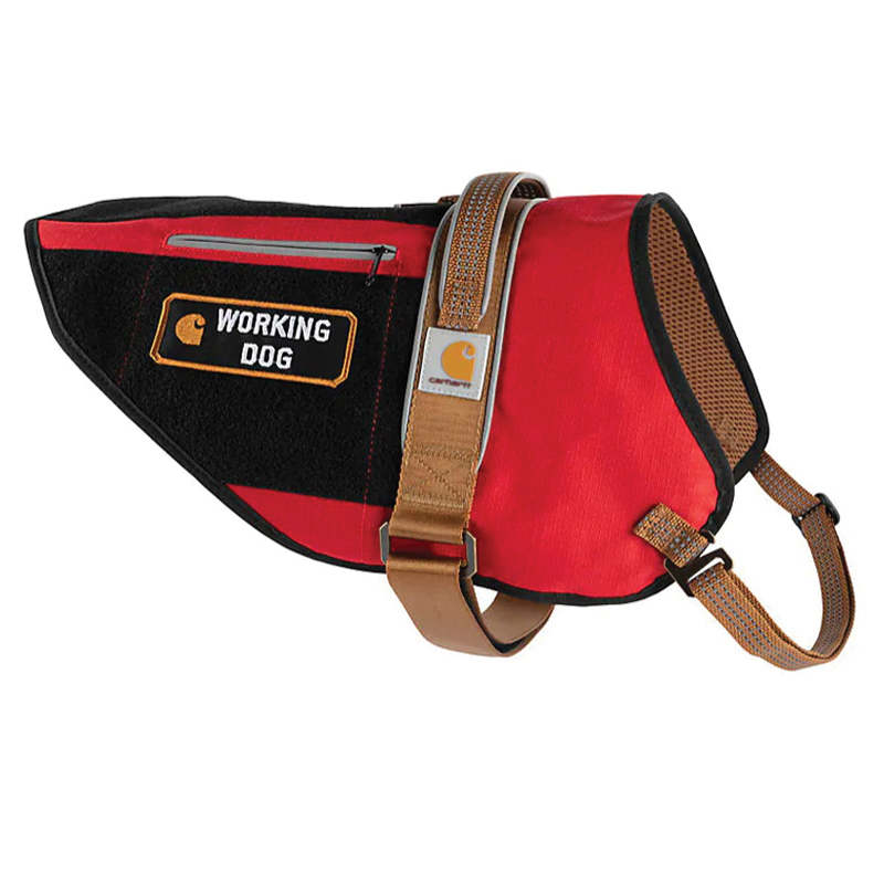 Carhartt P0000396-60104