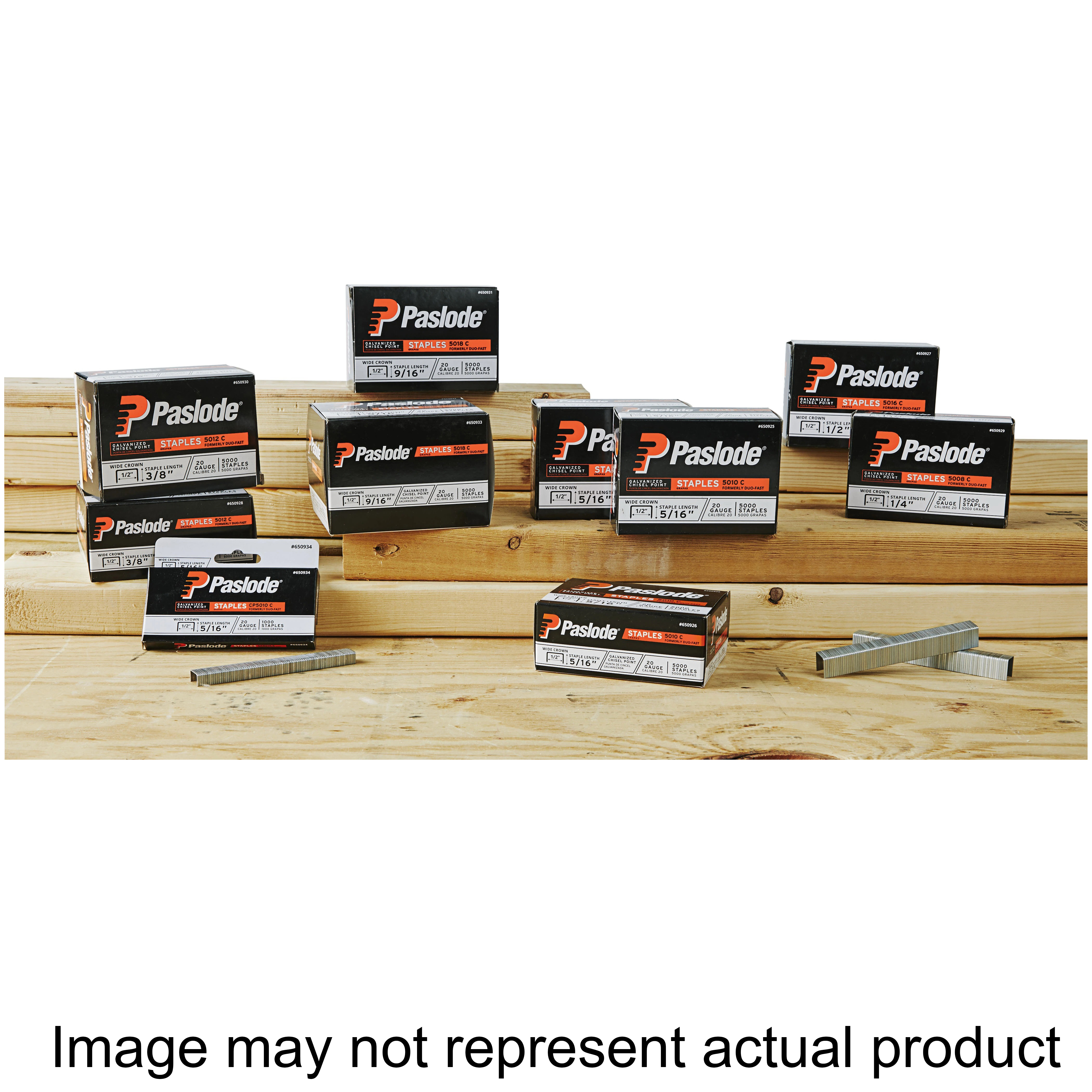 5000 Series 650925 Staple, 1/2 in W Crown, 5/16 in L Leg, 20 ga, Steel, Galvanized