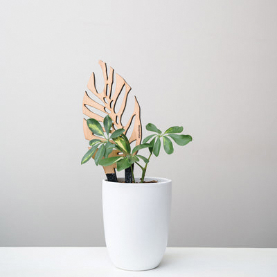 Treleaf Monstrella Trellis - Thumbnail 4