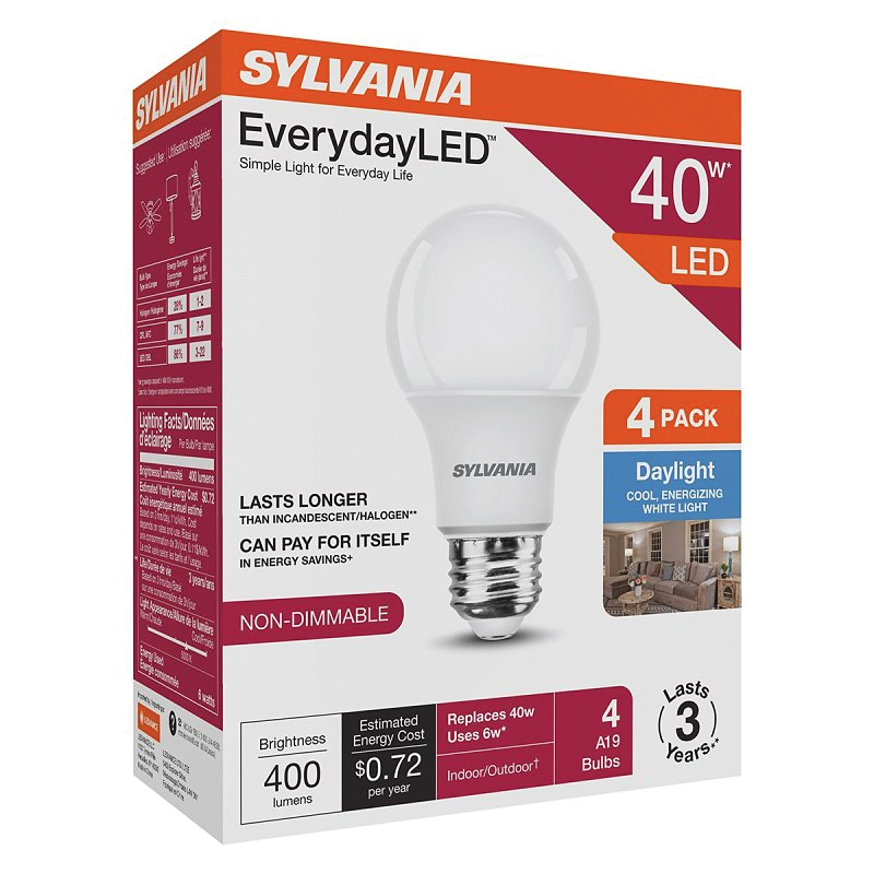 42013 General Purpose LED Light Bulb, A19 Lamp, Daylight, 40 Watt