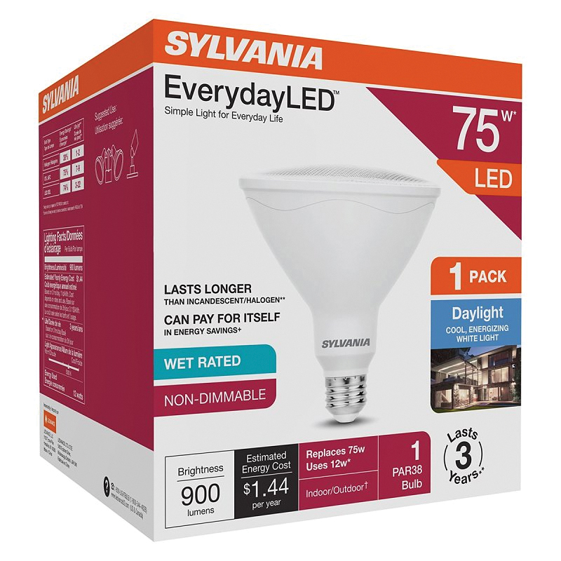 42036 LED Light Bulb, PAR38 Lamp, Daylight