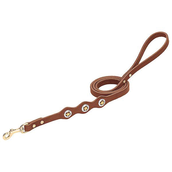 Weaver Equine 06-5812-ST-4