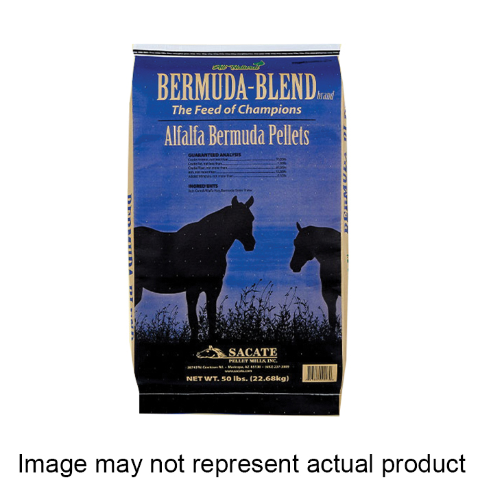 Bermuda-blend BBP80