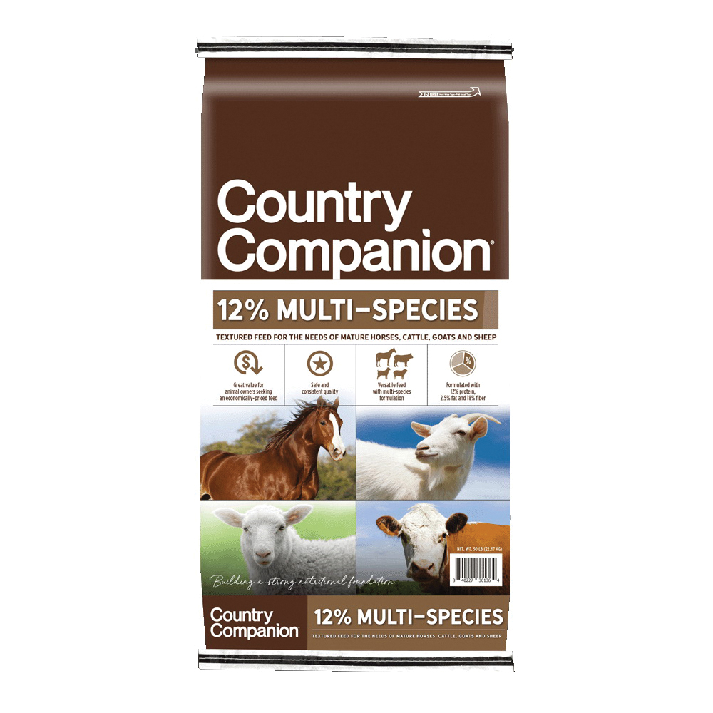 Country Companion 38774