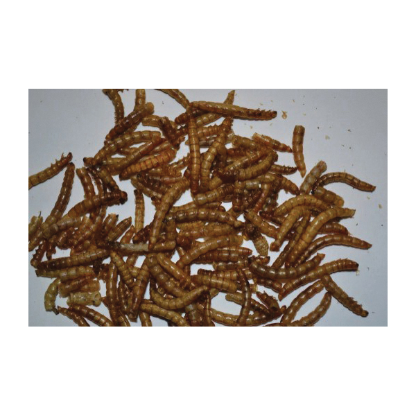 Little Farmer Products LFP63