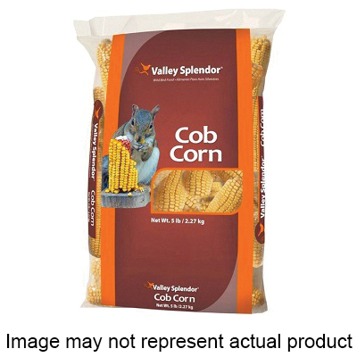 Valley Splendor 00414
