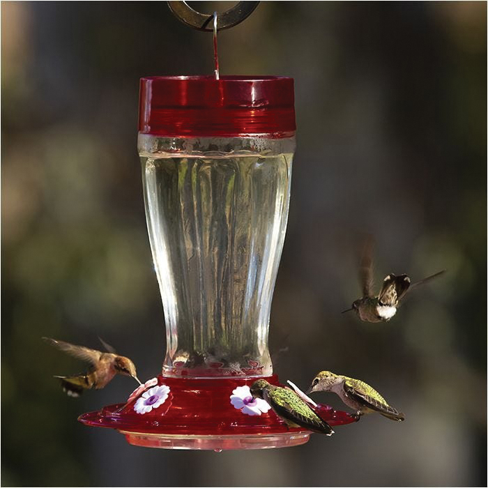 Perky-Pet 707 Natural Sugar Bird Nectar, 64 oz, Clear - 3