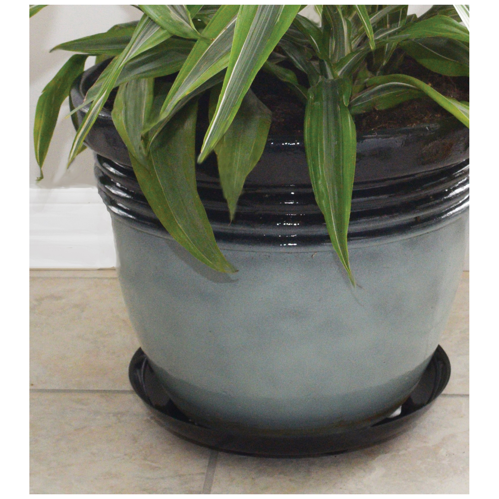 Curtis Wagner Plastics DS-1000B Designer Heavy Plant Saucer, 10 in Top, 8 in Base Dia, Circular, Plastic, Black