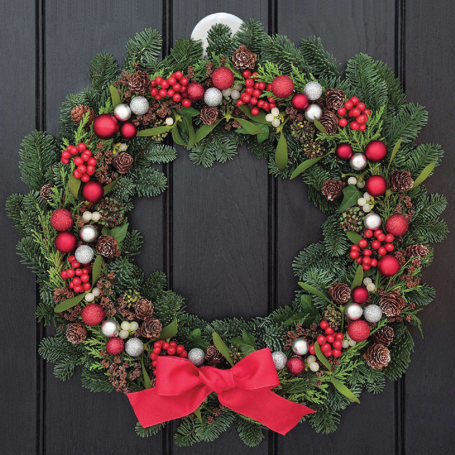 Celebrations Holiday Wreath Hanger, SEASONAL, 4 lb - 2