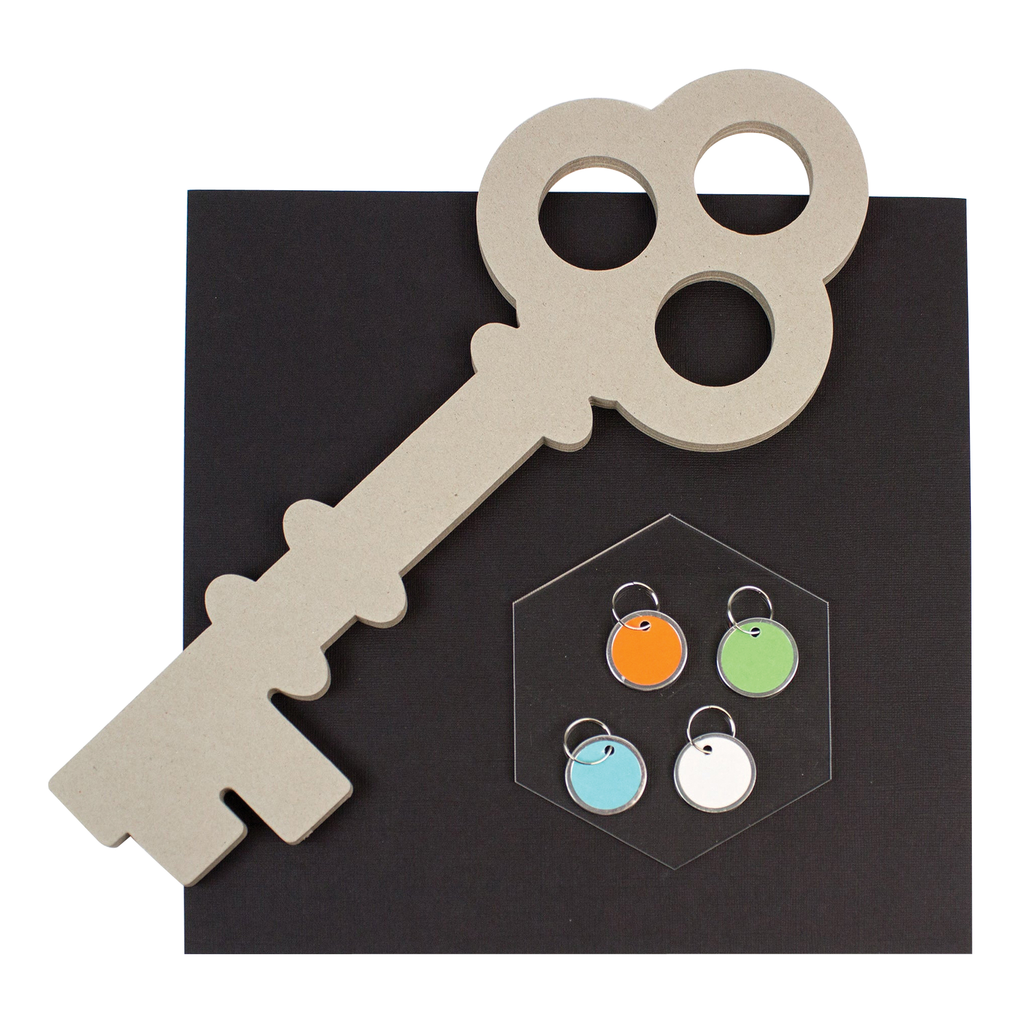 Lucky Line 28529 Key Tag, Metal/Paper, Assorted