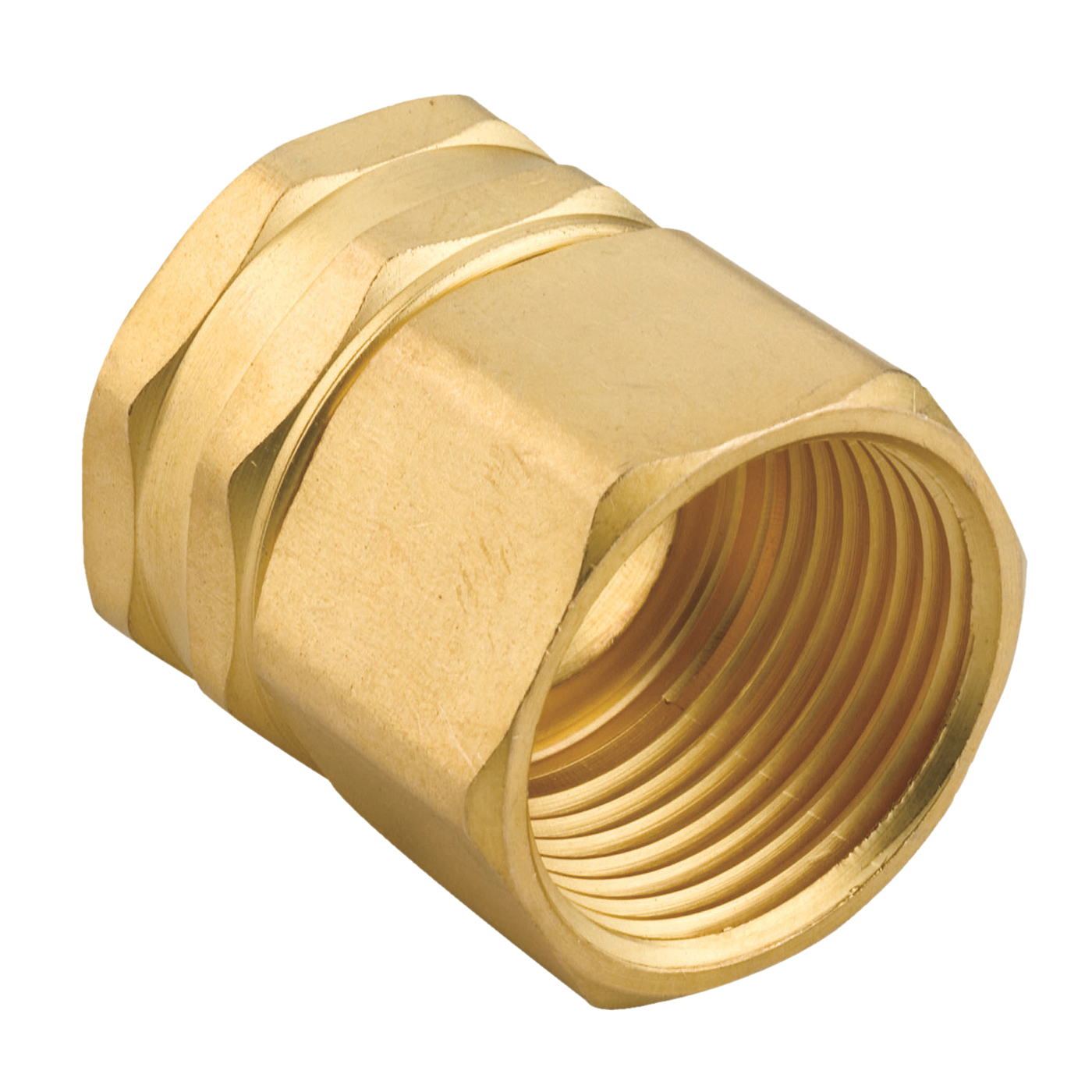 807764-1001 Hose Connector, 3/4 x 3/4 in, FNPT x FNH, Brass, 1/PK