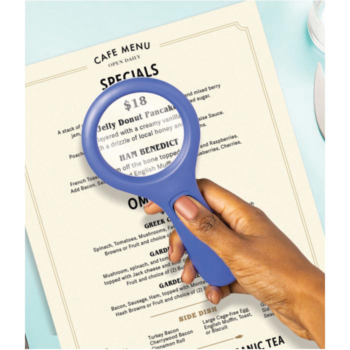 Modern Monkey Get A Clue MMGAC18 LED Magnifier, Round Mirror, 2.5X Magnification - 2