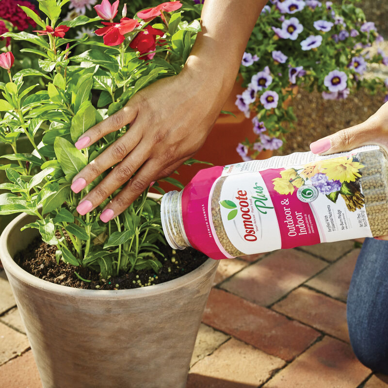 Osmocote Smart-Release 2345012 Plant Food, 2 lb Bag, Solid, 15-9-12 N-P-K Ratio