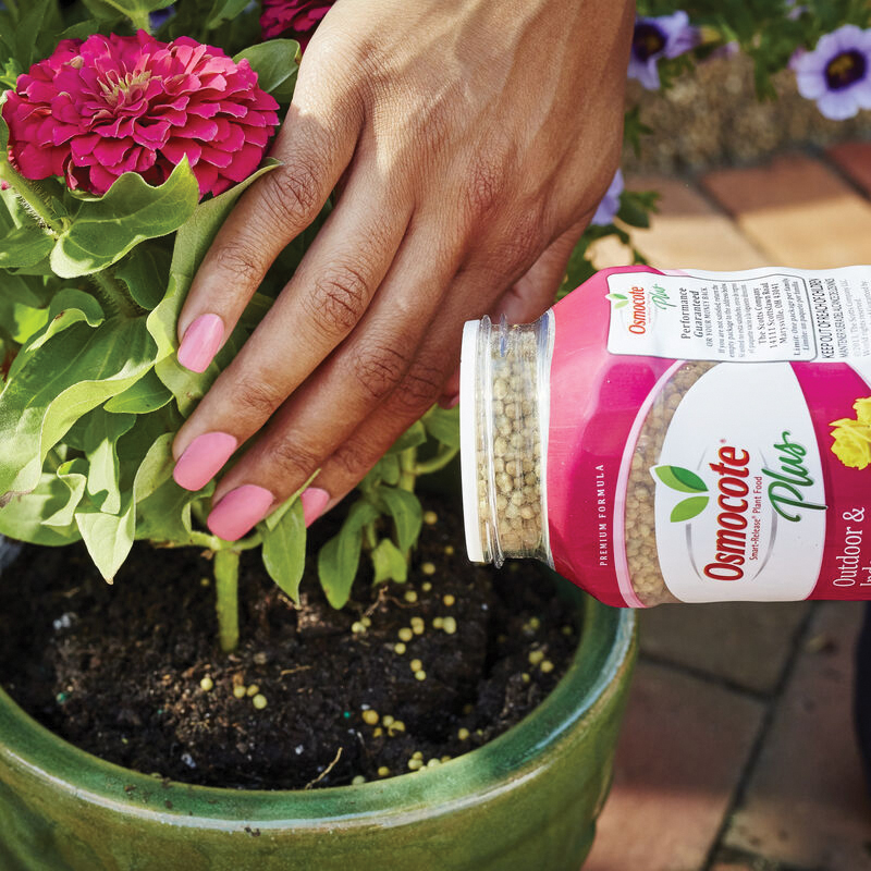 Osmocote Smart-Release 2345212 Plant Food, 1 lb Bag, Solid, 15-9-12 N-P-K Ratio