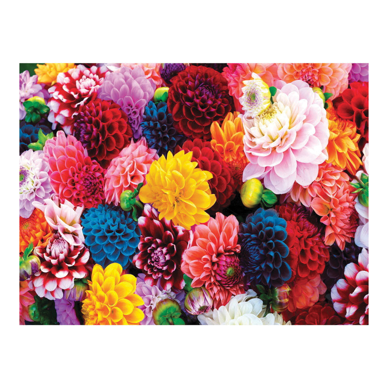 Masterpieces Brilliance 31988 Beautiful Blooms Puzzle, 10 years and Up - 2