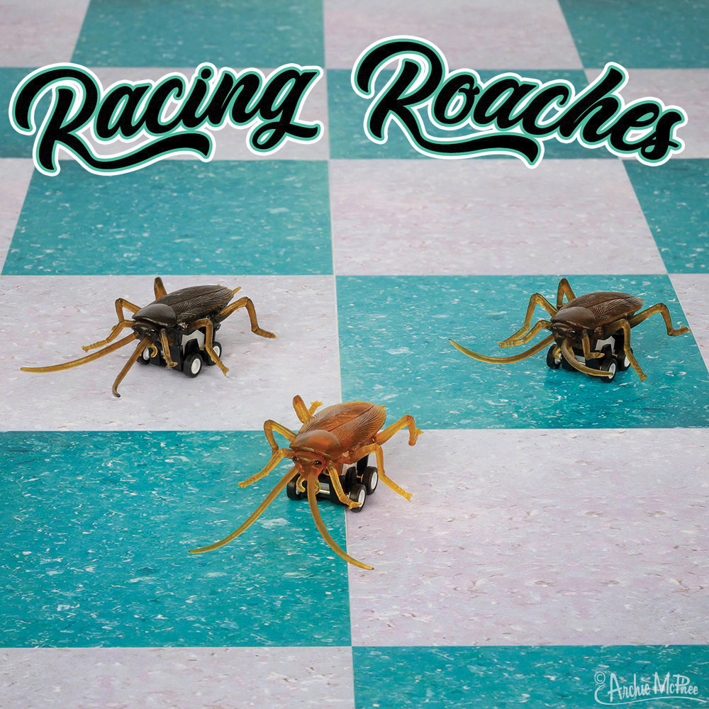 Archie Mcphee 12939 Racing Roaches Toy, Plastic/Vinyl - 2