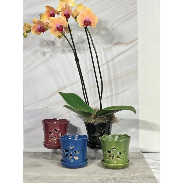BORDER CONCEPTS 55488