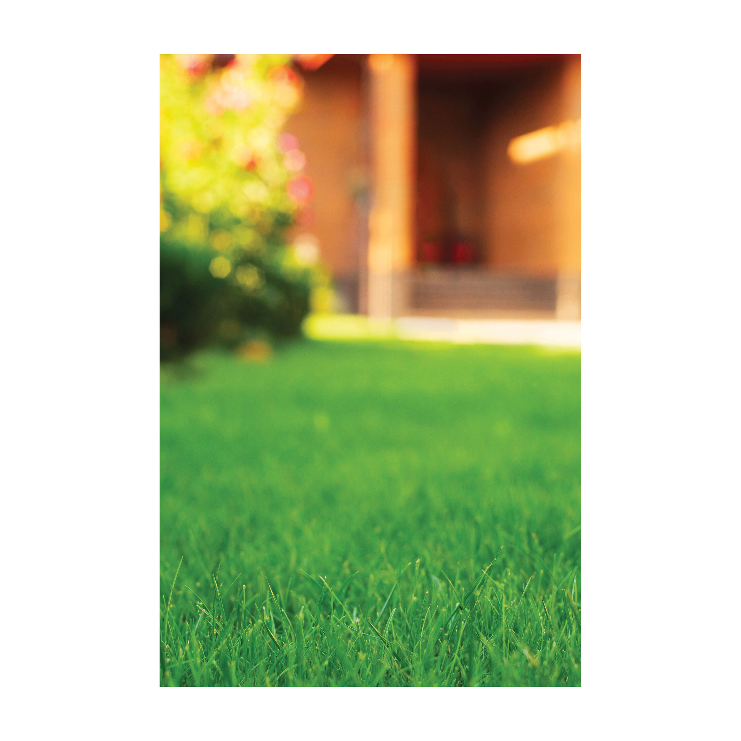 True ORGANIC R0046-25LB Lawn Food, 25 lb, 10-1-1 N-P-K Ratio - 3
