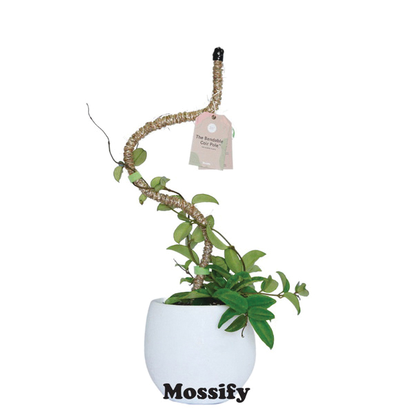 Bendable Plant Pole, Mossify, Coir/Steel - 2