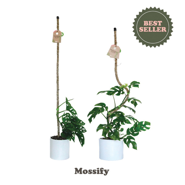 Bendable Plant Pole, Mossify, Coir/Steel - 4