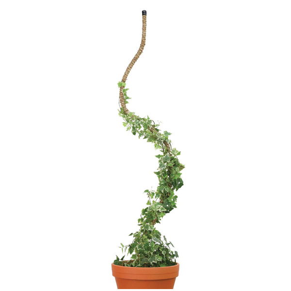 Bendable Plant Pole, Mossify, Coir/Steel - 5