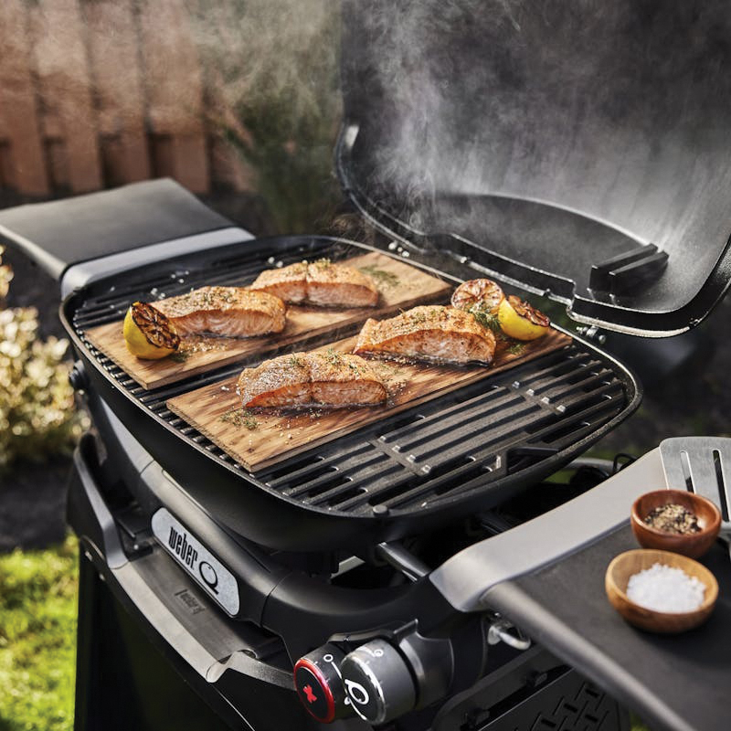 Weber 1500392 Q 2800N + Gas Grill with Stand, Liquid Propane, 2-Burner, Smoke Gray - 2