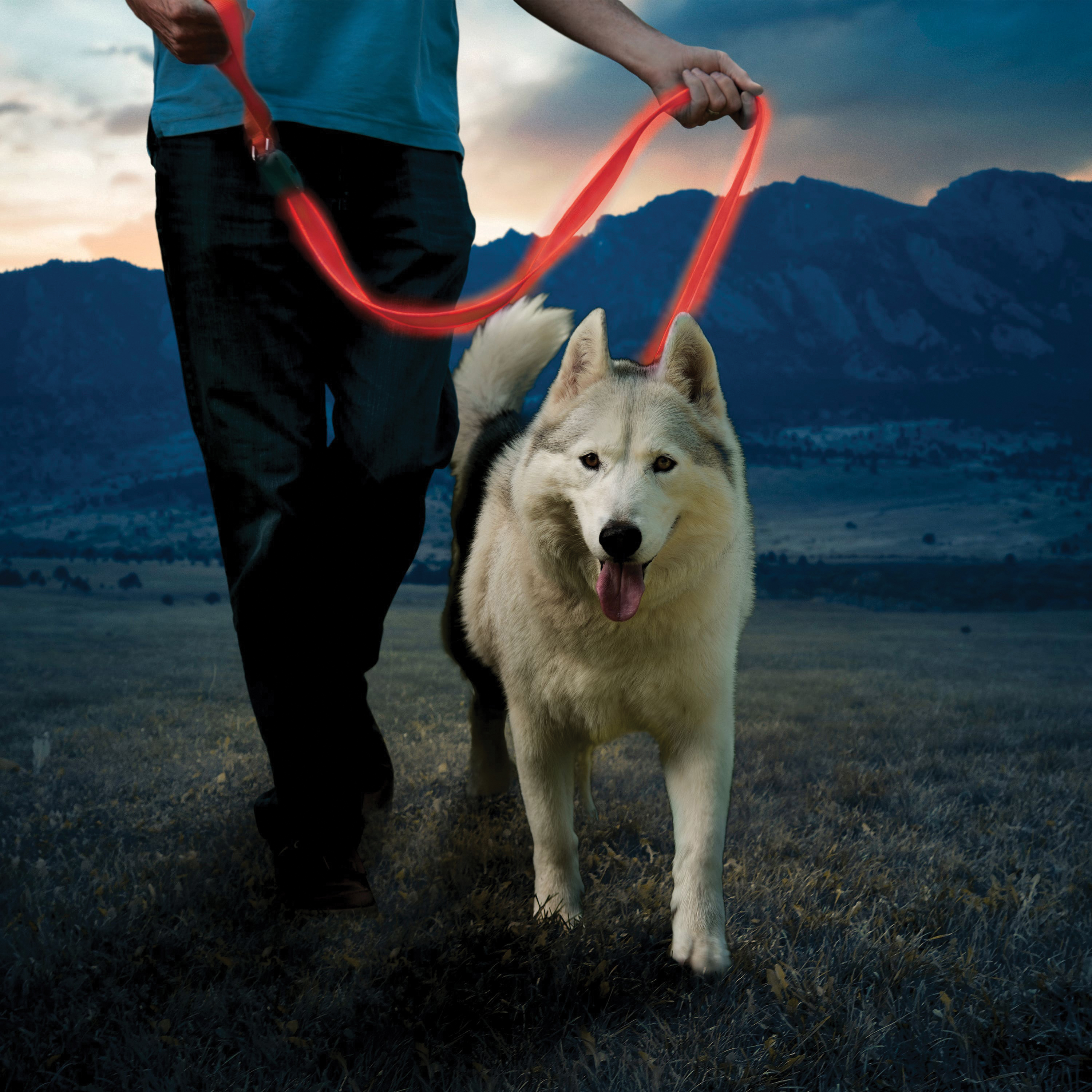 Nite Ize Nitedog NDLR-10-R3 Rechargeable LED Dog Leash, 5 ft L, Red - 3