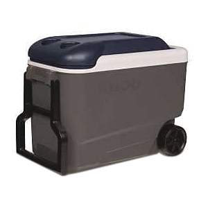 0034226 Roller Cooler, 40 qt Cooler, Polyurethane, Gray