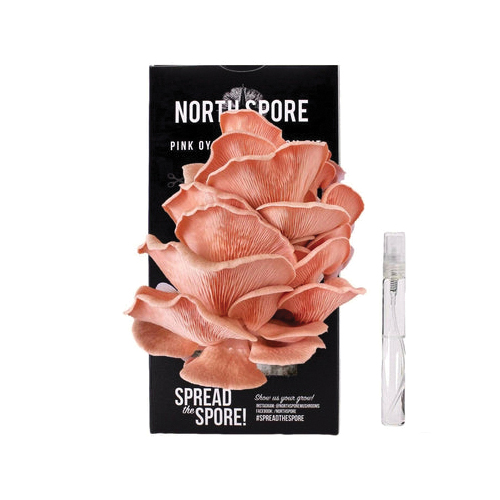 North Spore Mushroom Growing Kit - Thumbnail 3