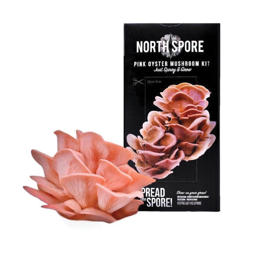 North Spore Mushroom Growing Kit